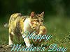 Free Greetings