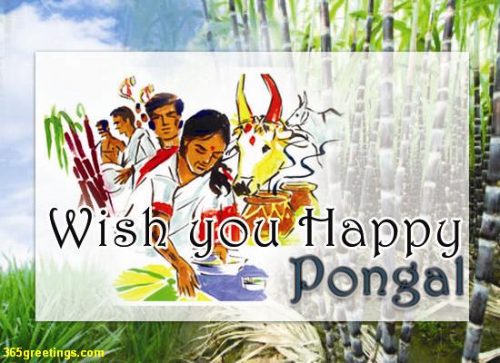 Thai Pongal Cards with happy