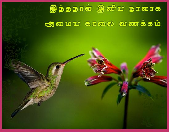 ecard